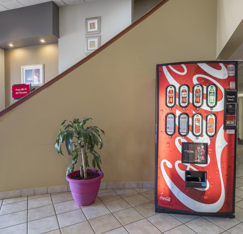 Red Roof Inn & Suites Cleveland - Elyria Eksteriør bilde